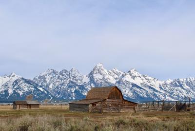 Grand Teton Tour de medio día