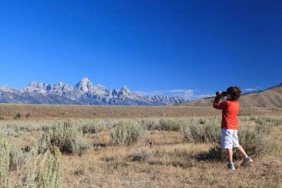 Excursión privada de medio día a Grand Teton Wildlife Safari