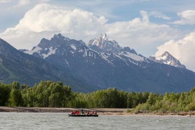 Tour flotante de medio día con vistas a Teton con almuerzo