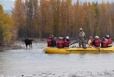 Excursión de medio día al río Snake River desde Jackson