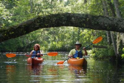 Viaje en kayak por Lofton Creek con guía profesional