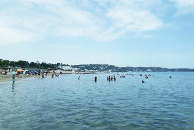 Traslado privado al aeropuerto: Aeropuerto Internacional de Túnez