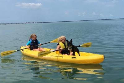 Alquiler de kayak y paddleboard Key Largo Alquiler de kayak y paddleboard Key Largo