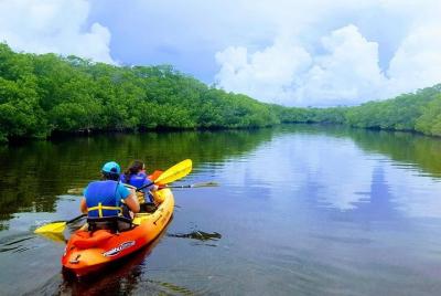 Explore los arroyos de los manglares con un alquiler de kayak en  Explore los arroyos de los manglares con un alquiler de kayak en