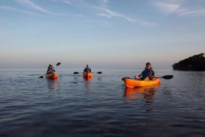 Excursión ecológica de 2 horas en kayak o pádel. Excursión ecológica de 2 horas en kayak o pádel.