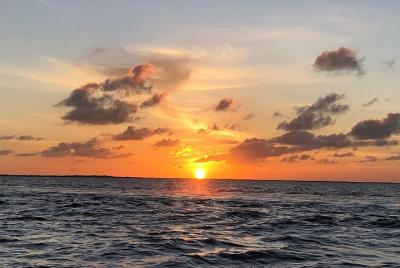 Vea la vida silvestre y el atardecer: alquiler de botes en Key La Vea la vida silvestre y el atardecer: alquiler de botes en Key La