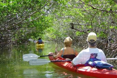 Excursión ecológica en kayak por los manglares en Cayo Hueso Excursión ecológica en kayak por los manglares en Cayo Hueso