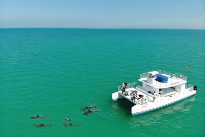 La experiencia de Key West Dolphin & Snorkel