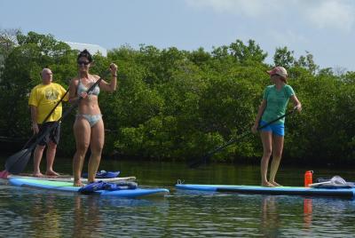 Key West Stand Up Paddleboard Rental con lección incluida Key West Stand Up Paddleboard Rental con lección incluida