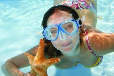 Buceo de superficie en Key West Buceo de superficie en Key West