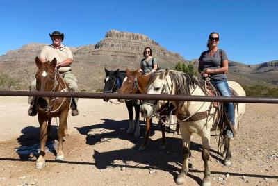 Paseo a caballo, Joshua Tree Forest y Buffalo Tour Paseo a caballo, Joshua Tree Forest y Buffalo Tour