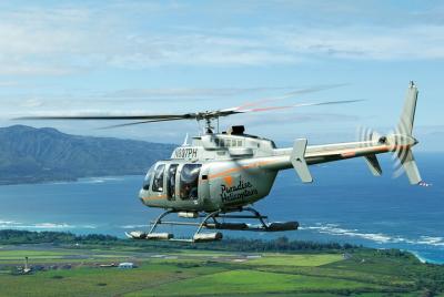 Excursión en helicóptero privado de Maui Nui con aterrizaje desde Lana Excursión en helicóptero privado de Maui Nui con aterrizaje desde Lana'i