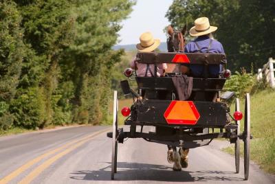 Amish Country Tour Premium que incluye Amish Farm and House Amish Country Tour Premium que incluye Amish Farm and House
