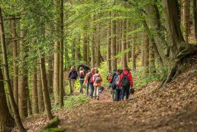 Baños de bosque en Hampshire
