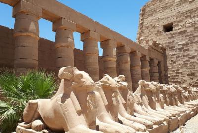 Tour Privado desde Luxor a East Bank - Templos de Karnak y Luxor Tour Privado desde Luxor a East Bank - Templos de Karnak y Luxor