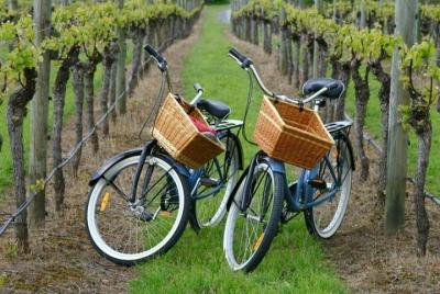 Paseo en bicicleta por Mattituck New York guiado por una granja y la región vinícola Paseo en bicicleta por Mattituck New York guiado por una granja y la región vinícola