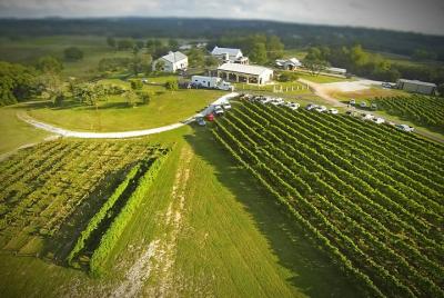 Tour por los viñedos de Hill Country Estate en Marble Falls Tour por los viñedos de Hill Country Estate en Marble Falls