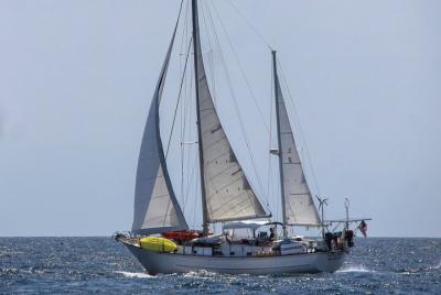 Tour de navegación de 6 horas por Vineyard Haven Harbour and Soun