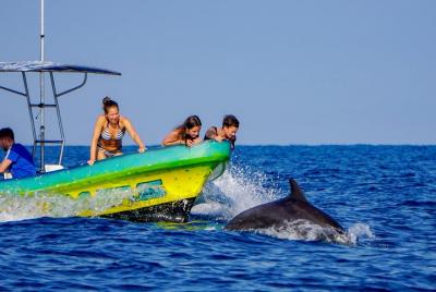 Crucero para avistar delfines en Puerto Escondido