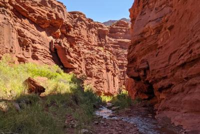El secreto mejor guardado de Moab: Mini Narrows Cool Summer Hike El secreto mejor guardado de Moab: Mini Narrows Cool Summer Hike