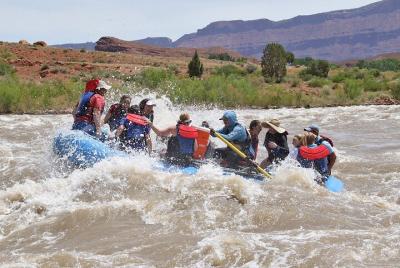 Tour de rafting de día completo por el río Colorado en Fisher Tow Tour de rafting de día completo por el río Colorado en Fisher Tow