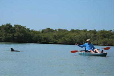 Tour guiado en kayak de 2 horas Tour guiado en kayak de 2 horas