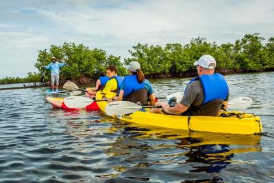 Ecotour compartido de 2 horas en kayak de Rookery Bay Reserve en 