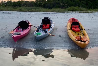 Alquiler de kayak individual de 2 horas Alquiler de kayak individual de 2 horas