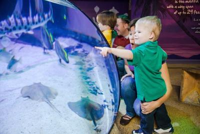 SEA LIFE New Jersey en American Dream SEA LIFE New Jersey en American Dream
