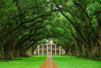 Tour de Oak Alley Plantation desde Nueva Orleans Tour de Oak Alley Plantation desde Nueva Orleans