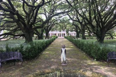 Whitney Plantation Tour con transporte  Whitney Plantation Tour con transporte