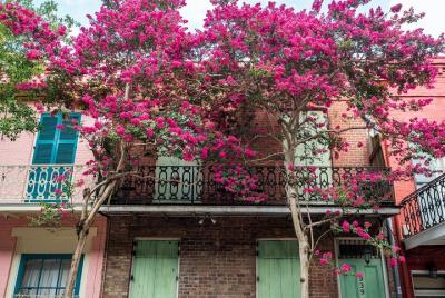 Recorrido histórico para grupos pequeños con Garden District y Ir