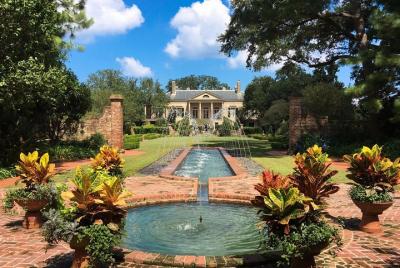 Tour panorámico e histórico de Nueva Orleans para grupos pequeños