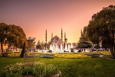 Tour personalizado de Estambul con guía local privado