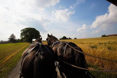 Filadelfia y la región de los amish: excursión de un día desde Nu Filadelfia y la región de los amish: excursión de un día desde Nu