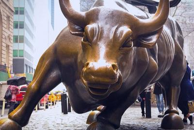 Tour privado a pie por Wall Street y el distrito financiero Tour privado a pie por Wall Street y el distrito financiero