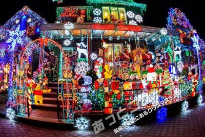 Tour japonés | Tour de iluminación navideña de lujo | Con comida  Tour japonés | Tour de iluminación navideña de lujo | Con comida