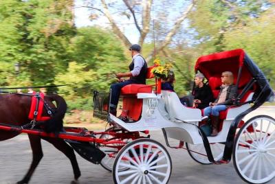 Paseo en carruaje de caballos estándar de Central Park (Long Loop Paseo en carruaje de caballos estándar de Central Park (Long Loop