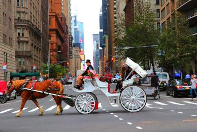 Paseo en carruaje de caballos de Nueva York en Central Park (50 m Paseo en carruaje de caballos de Nueva York en Central Park (50 m