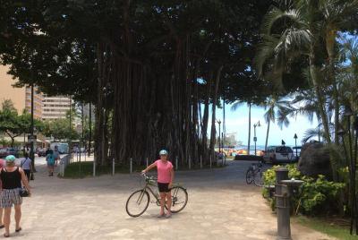 Recorrido histórico en bicicleta por Honolulu Recorrido histórico en bicicleta por Honolulu
