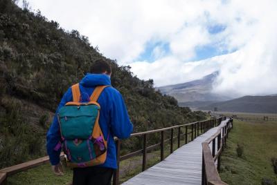 Tour semiprivado: tour de medio día a Cotopaxi
