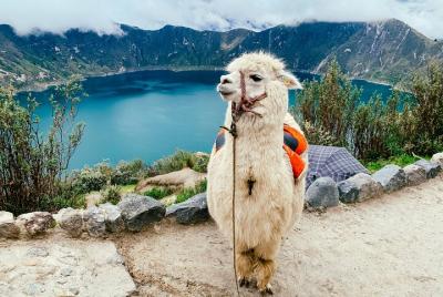 Quilotoa Tour Full Day Con Almuerzo