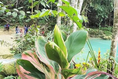 Little Dunn's, Fire Water y Blue Hole con almuerzo de Ocho Ríos y