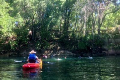 Excursión en kayak por el río Wekiva Excursión en kayak por el río Wekiva