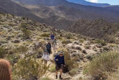 Caminata de medio día con las mejores vistas de Palm Springs con 