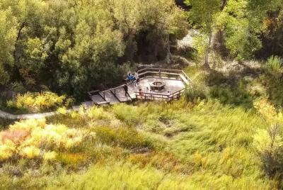 Caminata por el oasis del desierto de Mojave