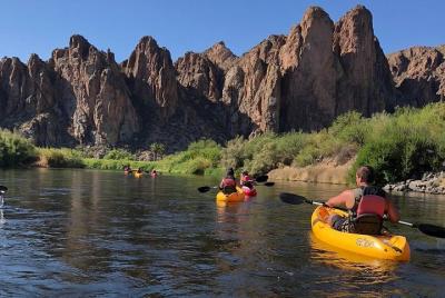 Viaje en kayak de Salt River Viaje en kayak de Salt River