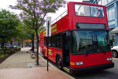SÓLO EL TOUR: un recorrido turístico en autobús de dos pisos con  SÓLO EL TOUR: un recorrido turístico en autobús de dos pisos con