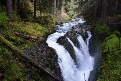 Sol Duc Falls Tour Guiado en el Parque Nacional Olympic Sol Duc Falls Tour Guiado en el Parque Nacional Olympic