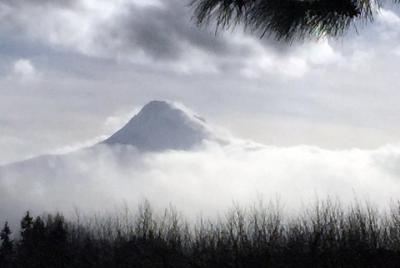 Tour de día completo a la cascada de Mt Hood con almuerzo y degus